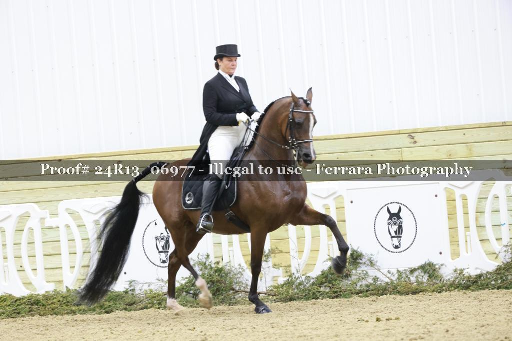 Proof 24R13_06977