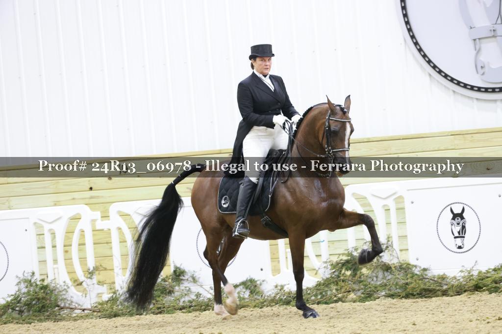 Proof 24R13_06978