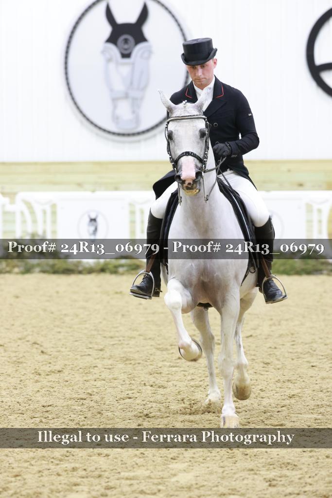 Proof 24R13_06979
