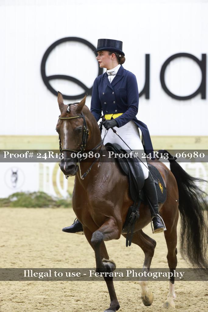 Proof 24R13_06980