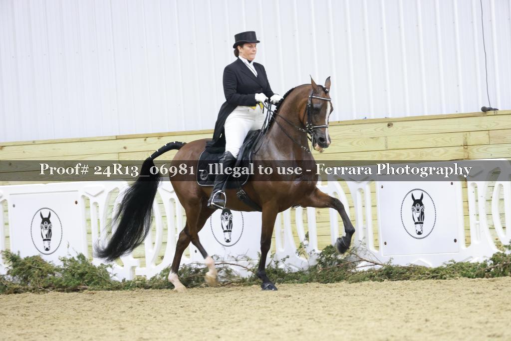 Proof 24R13_06981