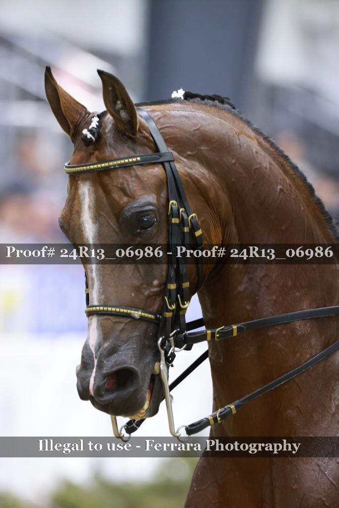 Proof 24R13_06986