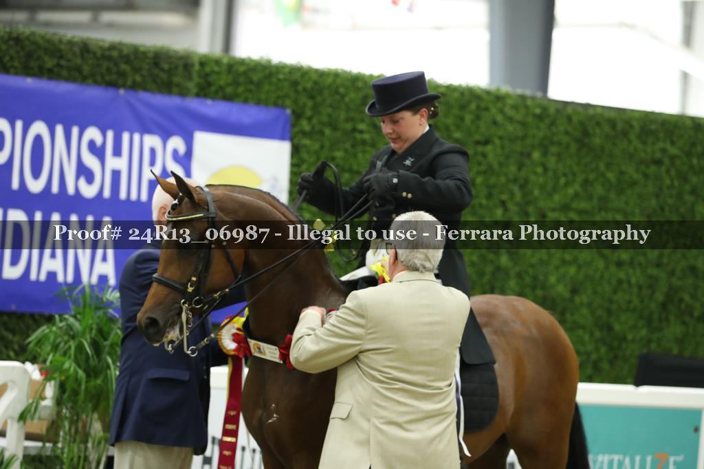 Proof 24R13_06987