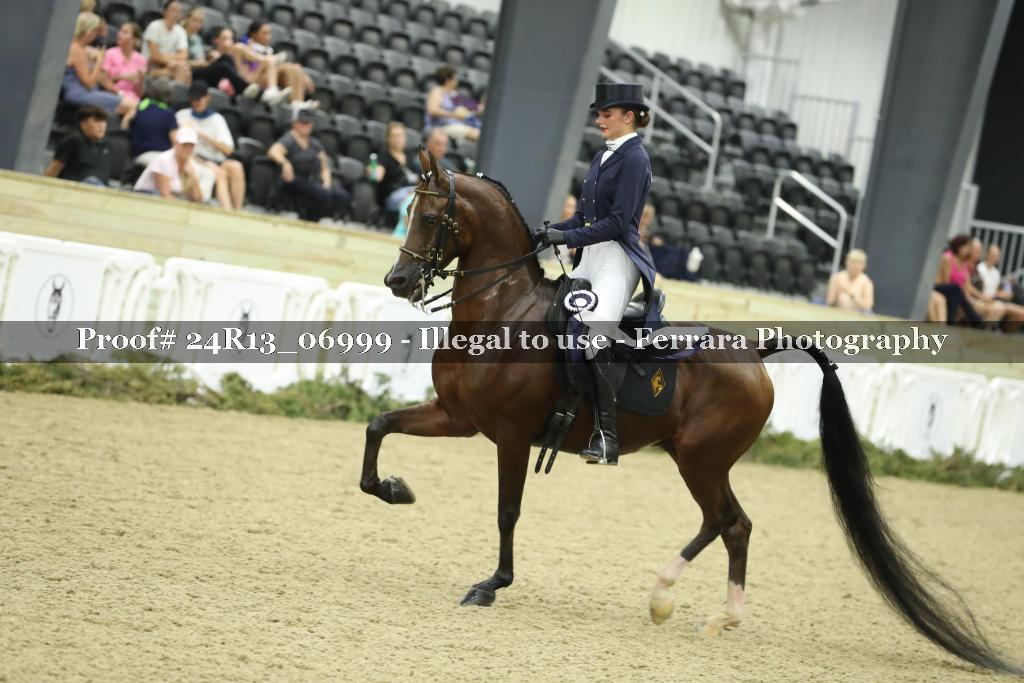 Proof 24R13_06999