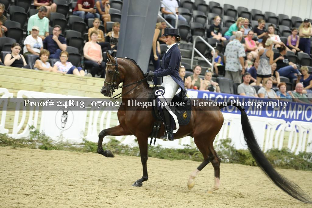 Proof 24R13_07002