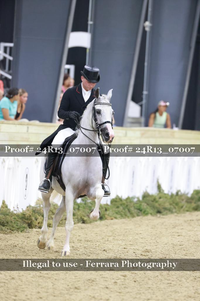 Proof 24R13_07007