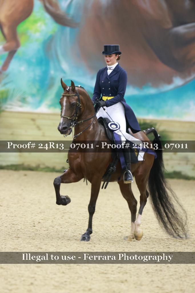 Proof 24R13_07011