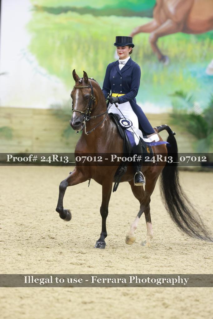 Proof 24R13_07012