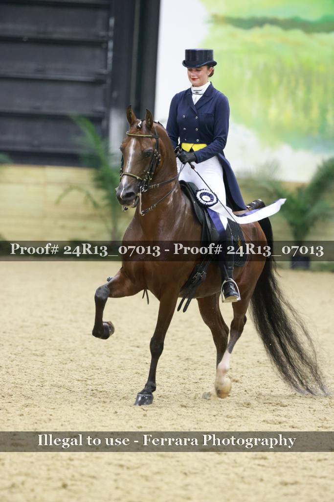 Proof 24R13_07013