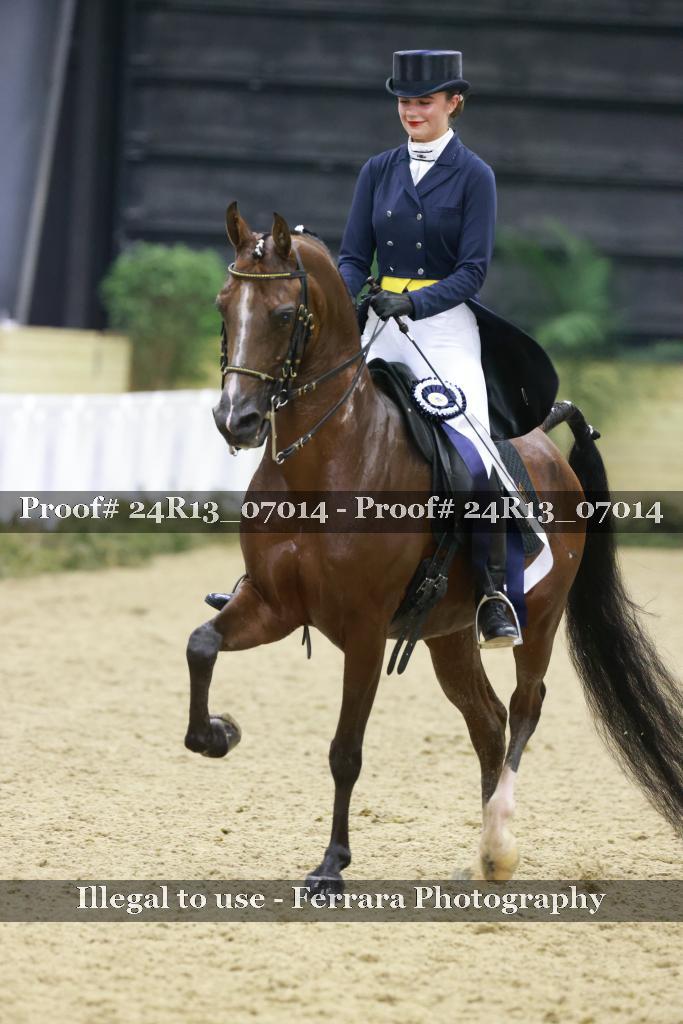Proof 24R13_07014