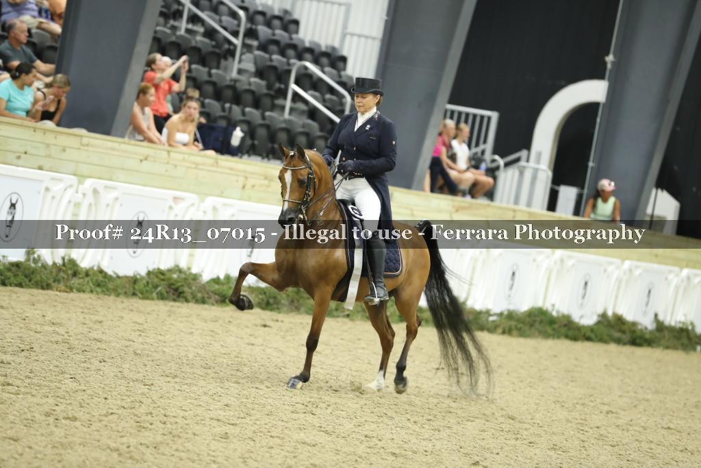 Proof 24R13_07015