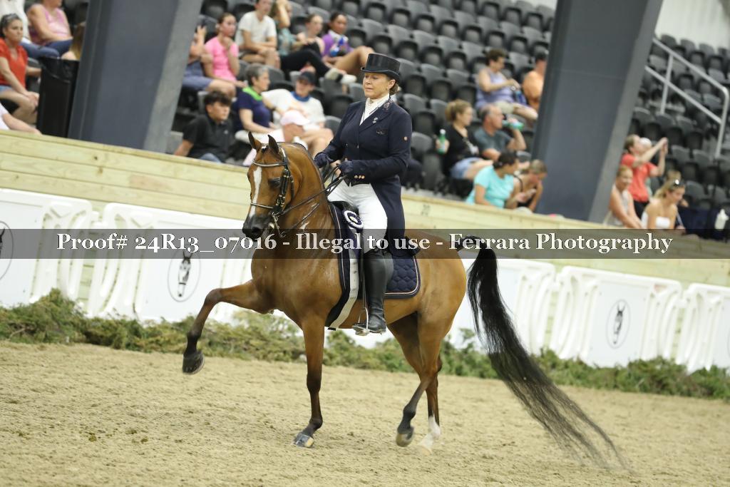 Proof 24R13_07016
