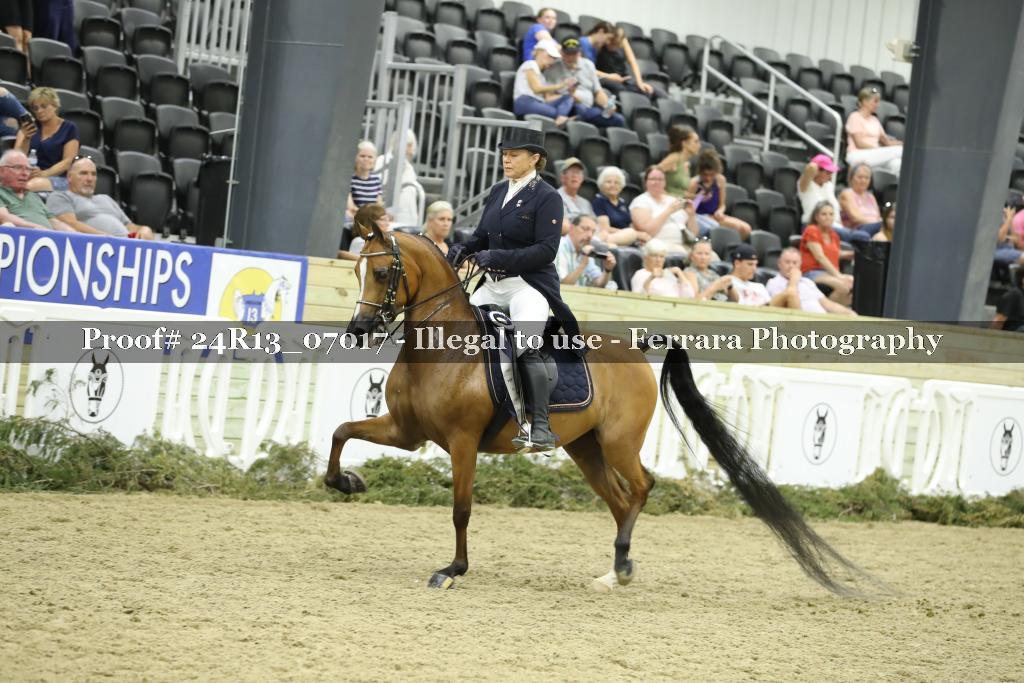 Proof 24R13_07017