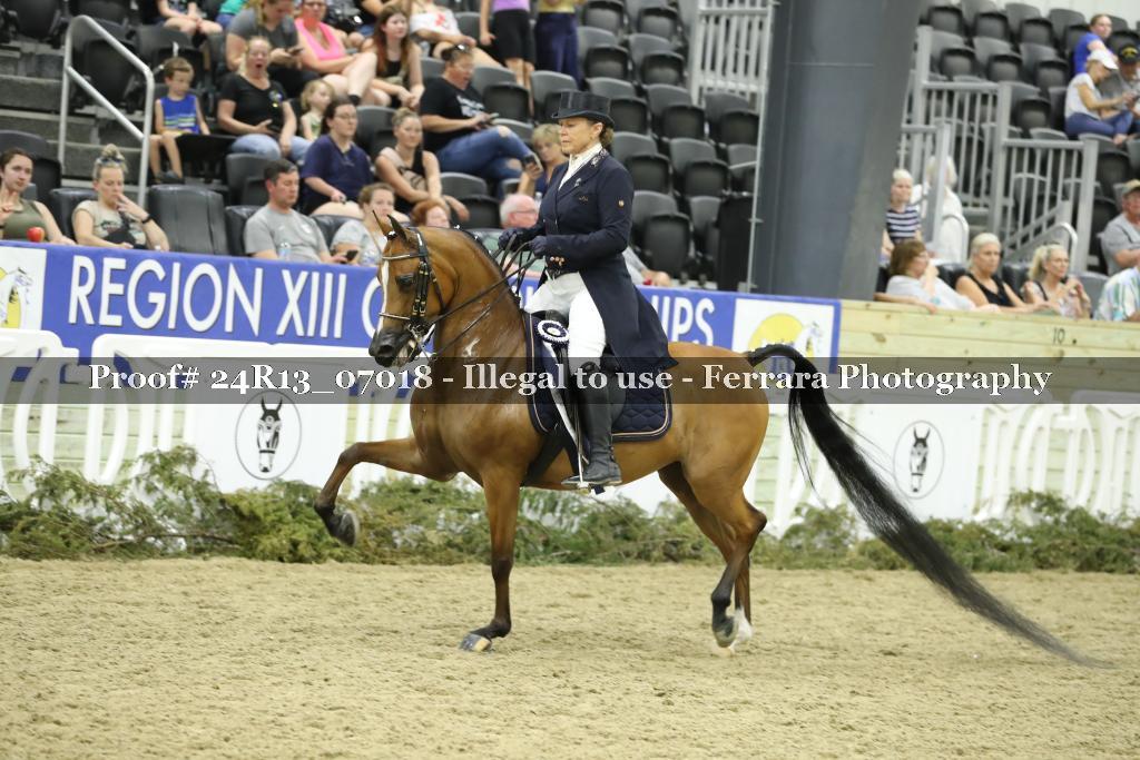 Proof 24R13_07018