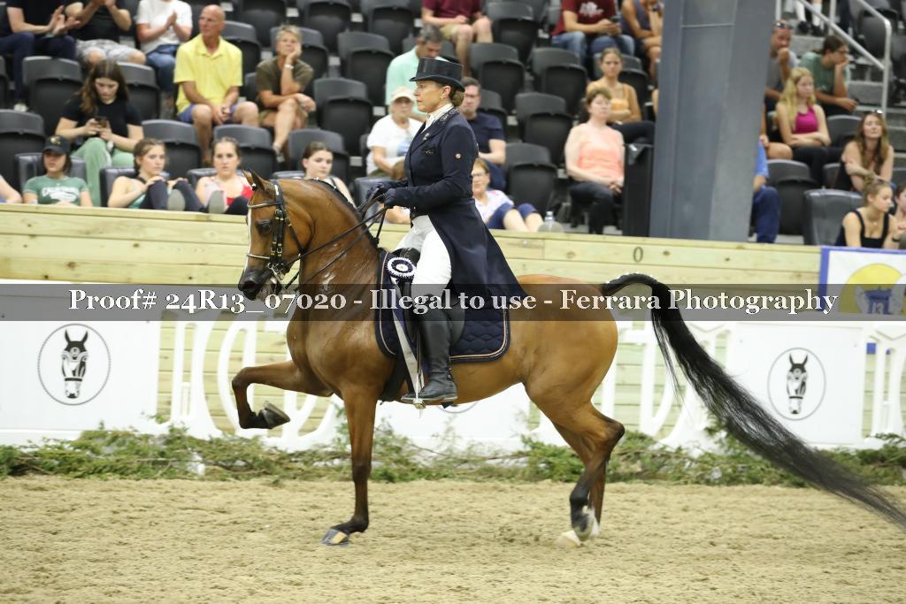 Proof 24R13_07020
