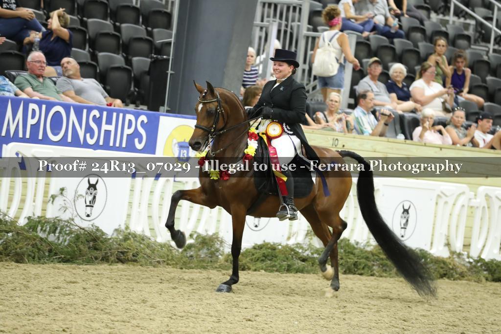 Proof 24R13_07029
