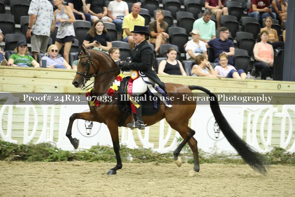 Proof 24R13_07033