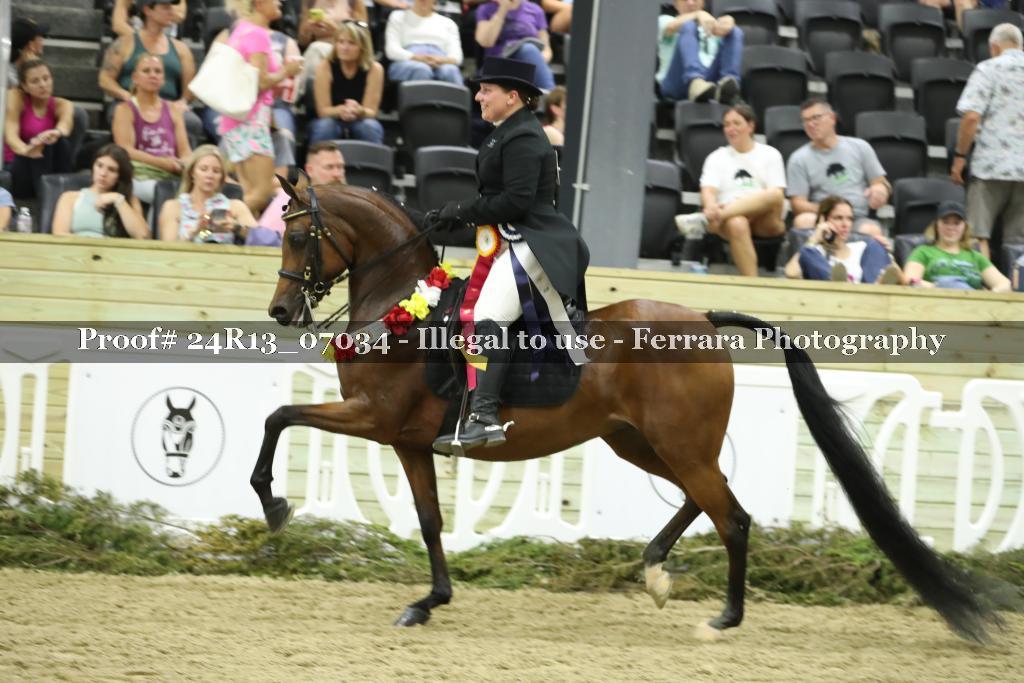 Proof 24R13_07034