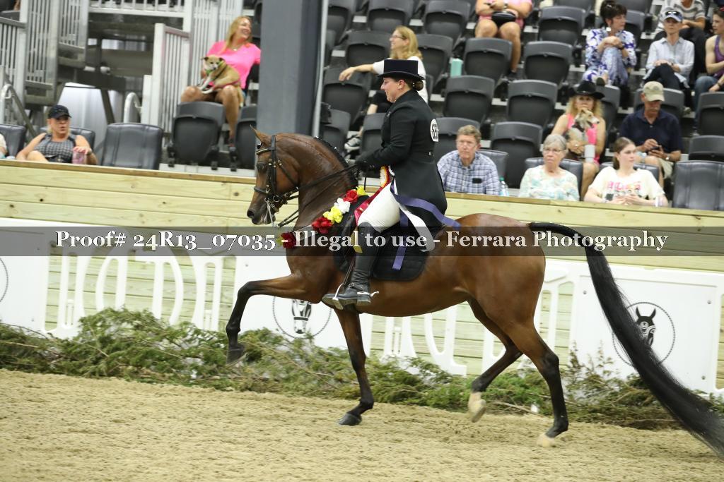 Proof 24R13_07035