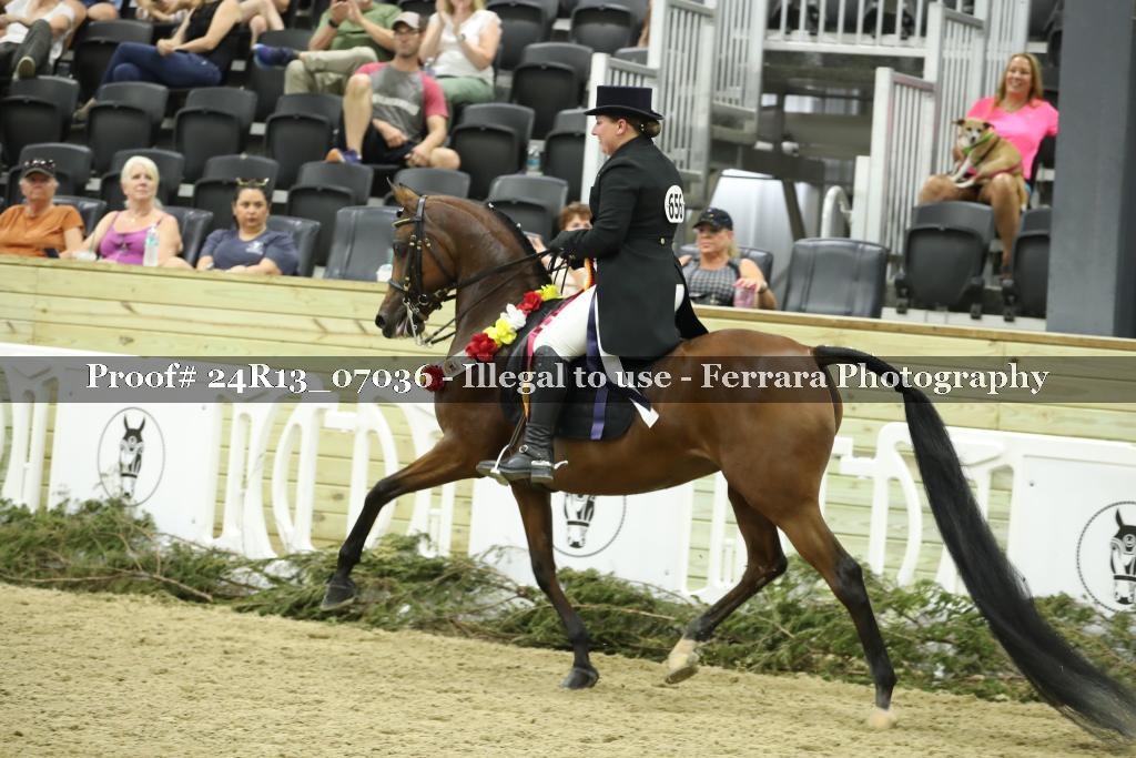 Proof 24R13_07036