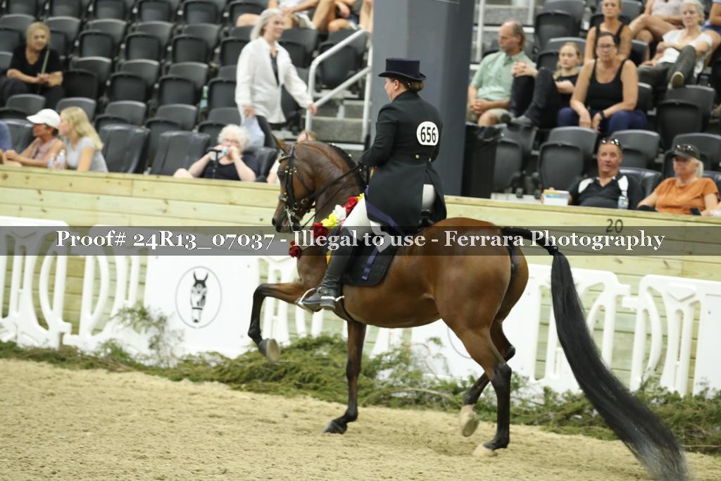Proof 24R13_07037