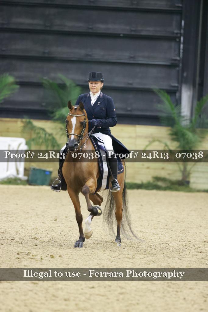 Proof 24R13_07038