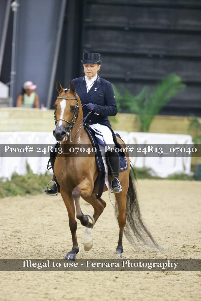 Proof 24R13_07040