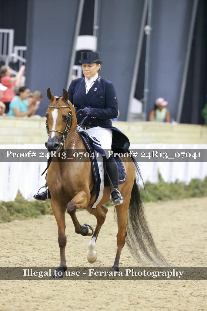 Proof 24R13_07041