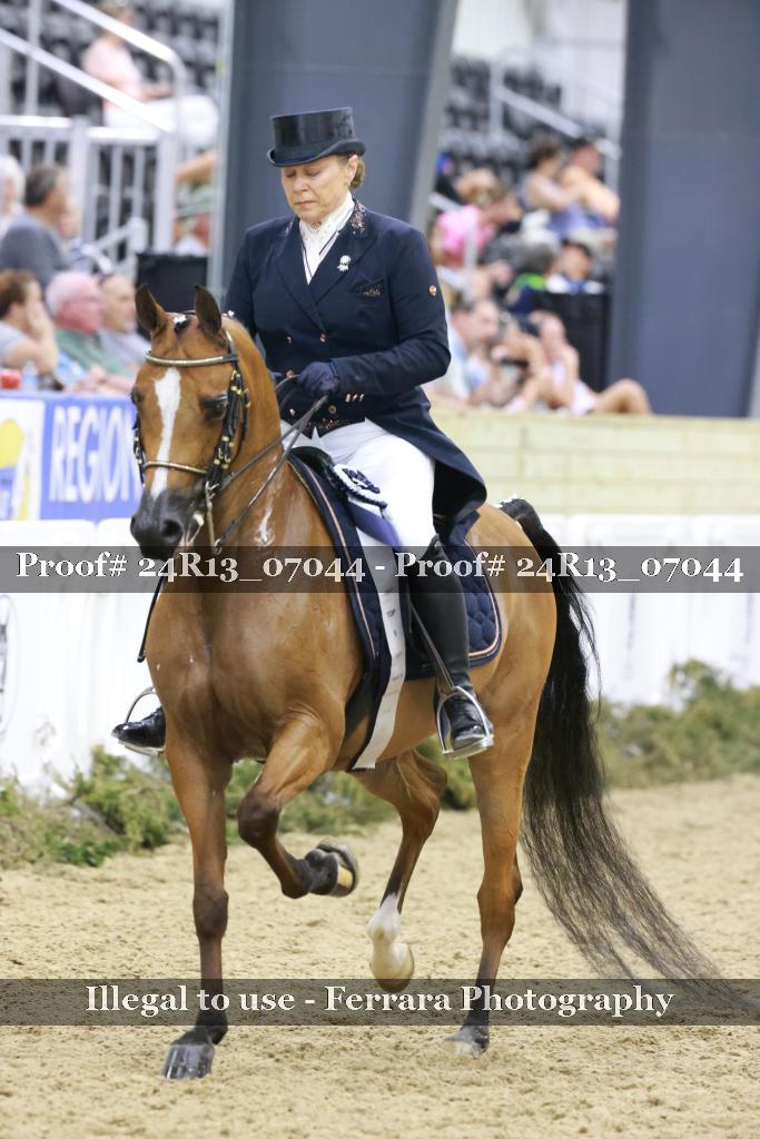 Proof 24R13_07044