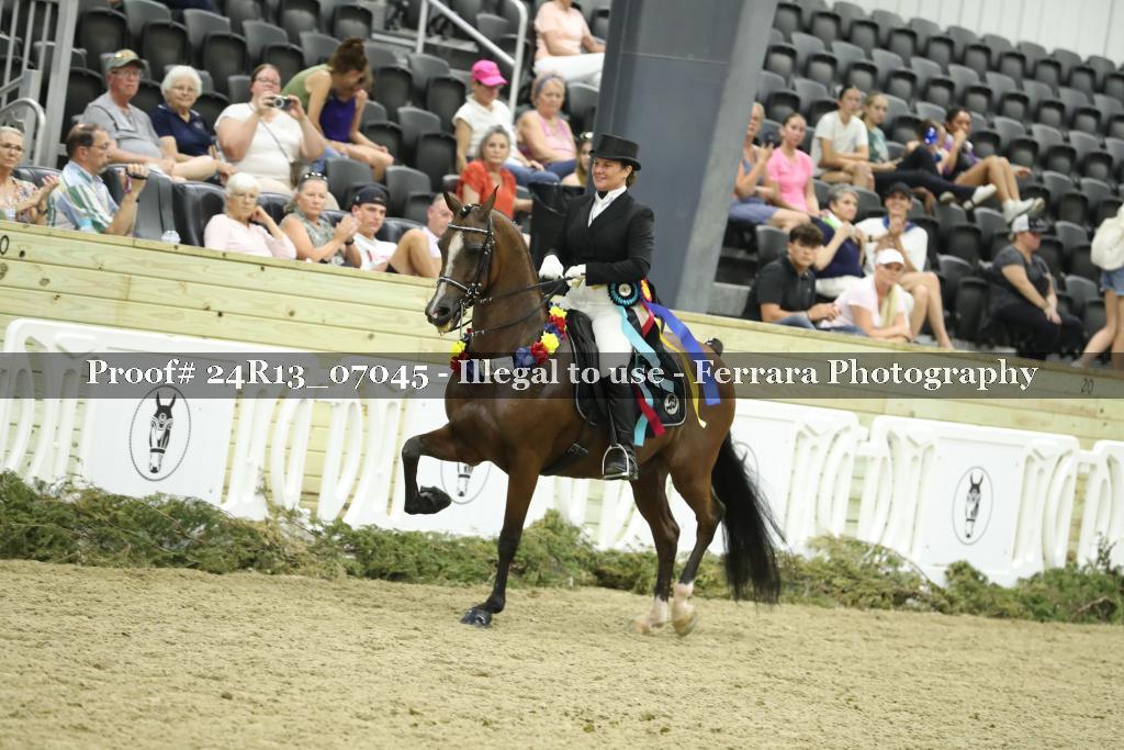 Proof 24R13_07045