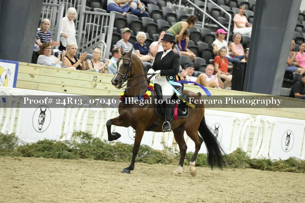 Proof 24R13_07046