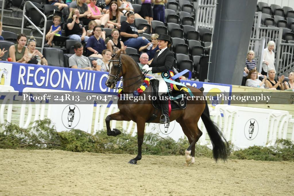Proof 24R13_07047
