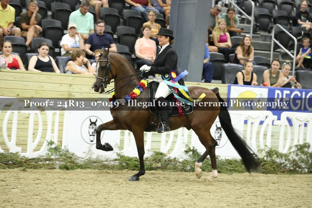 Proof 24R13_07049