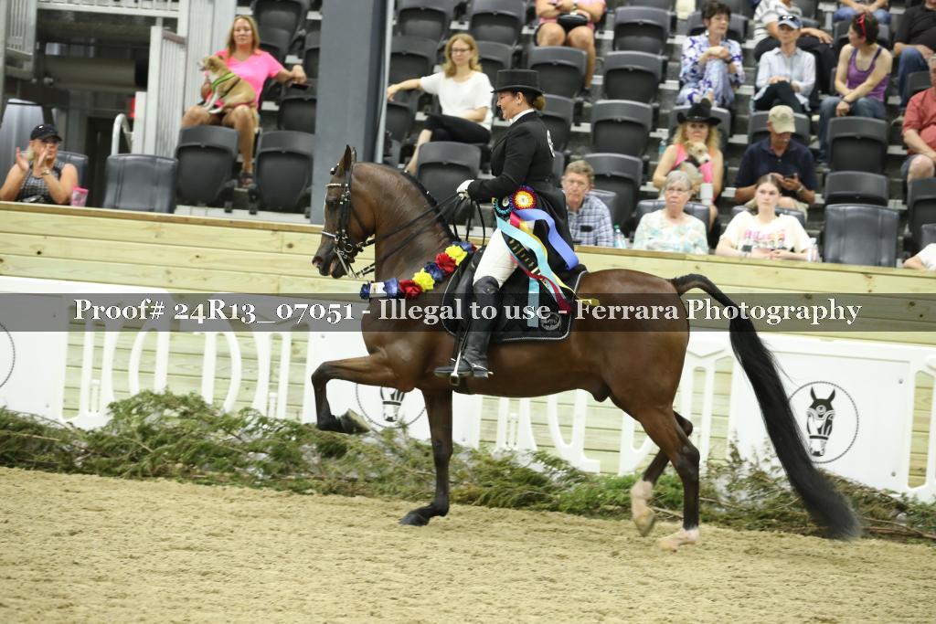 Proof 24R13_07051