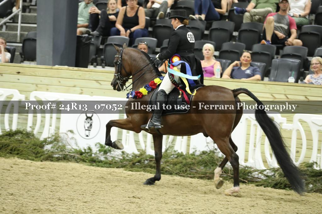 Proof 24R13_07052