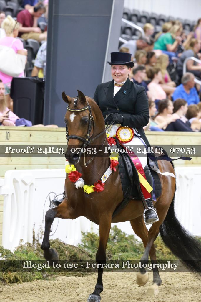 Proof 24R13_07053