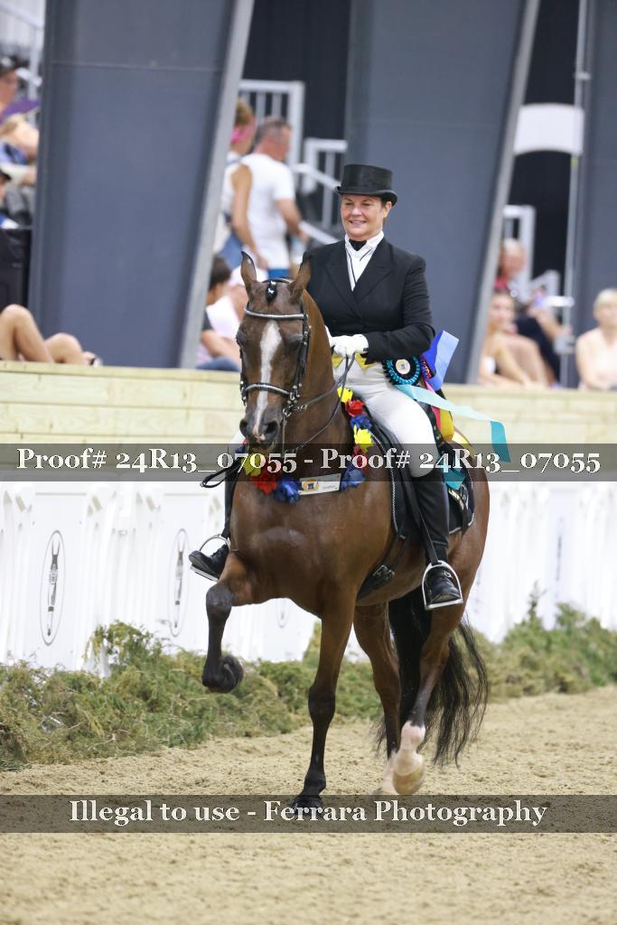 Proof 24R13_07055