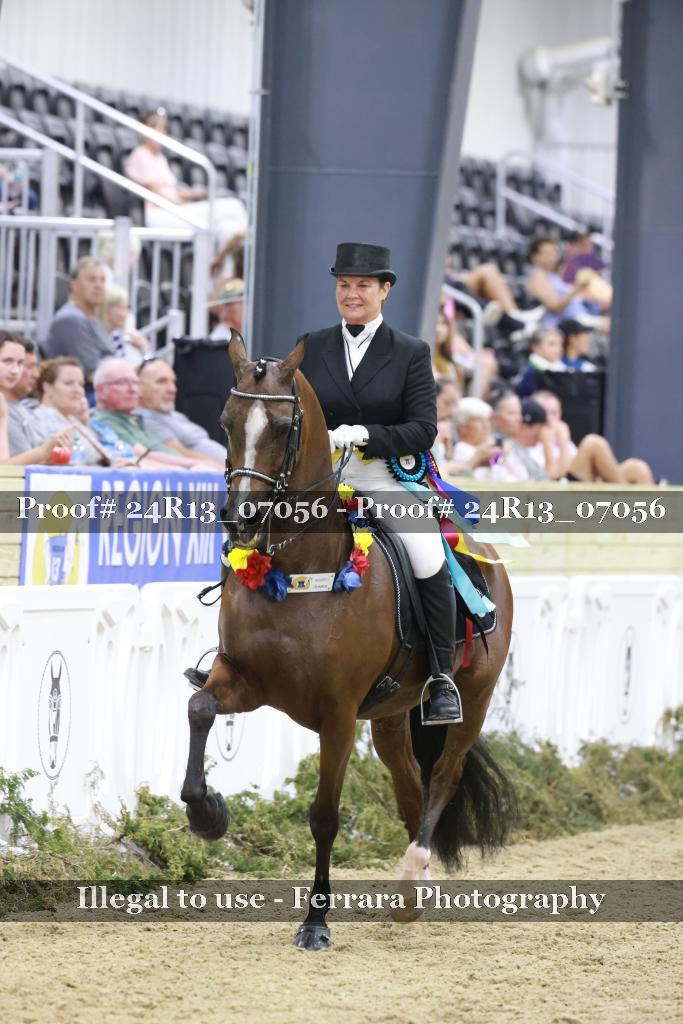 Proof 24R13_07056