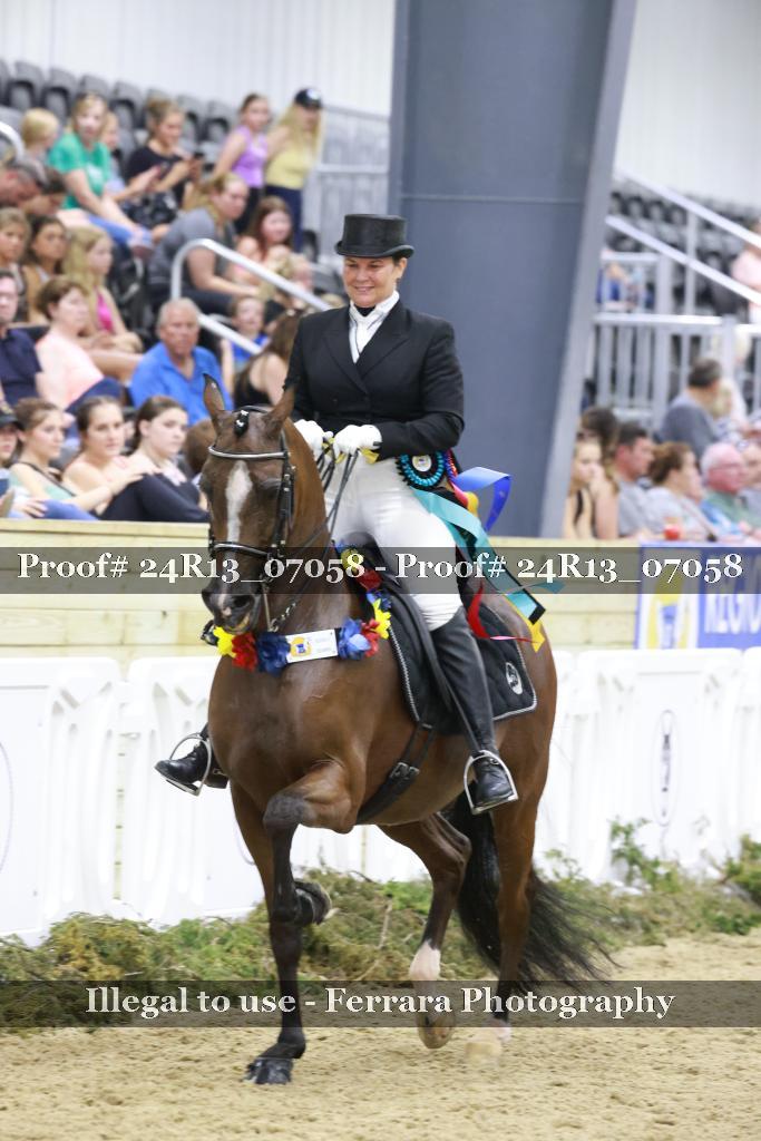 Proof 24R13_07058