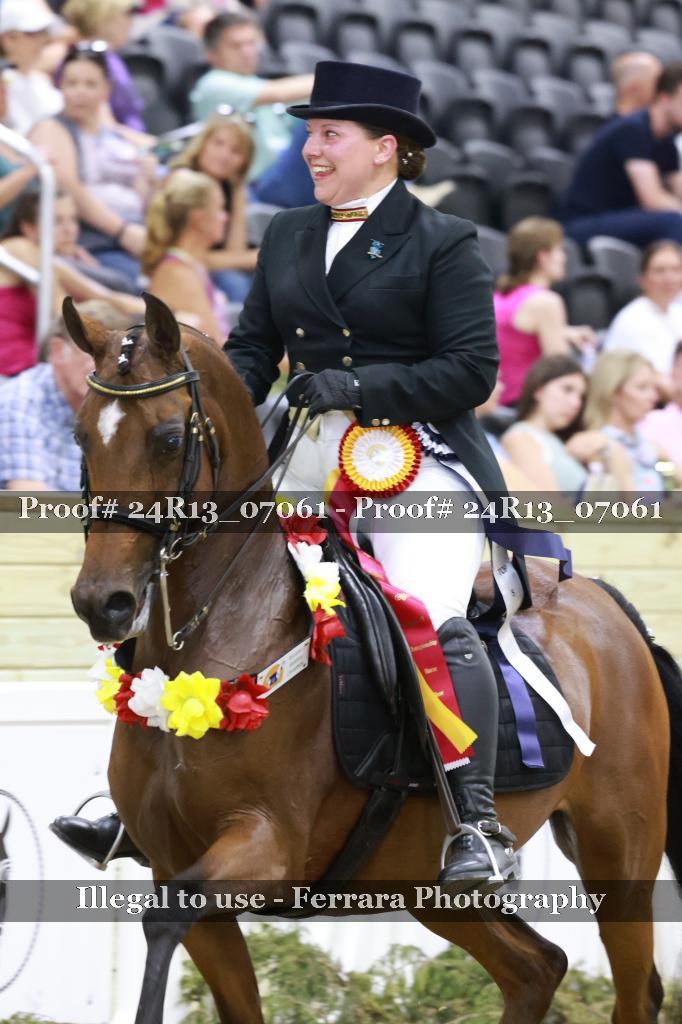 Proof 24R13_07061
