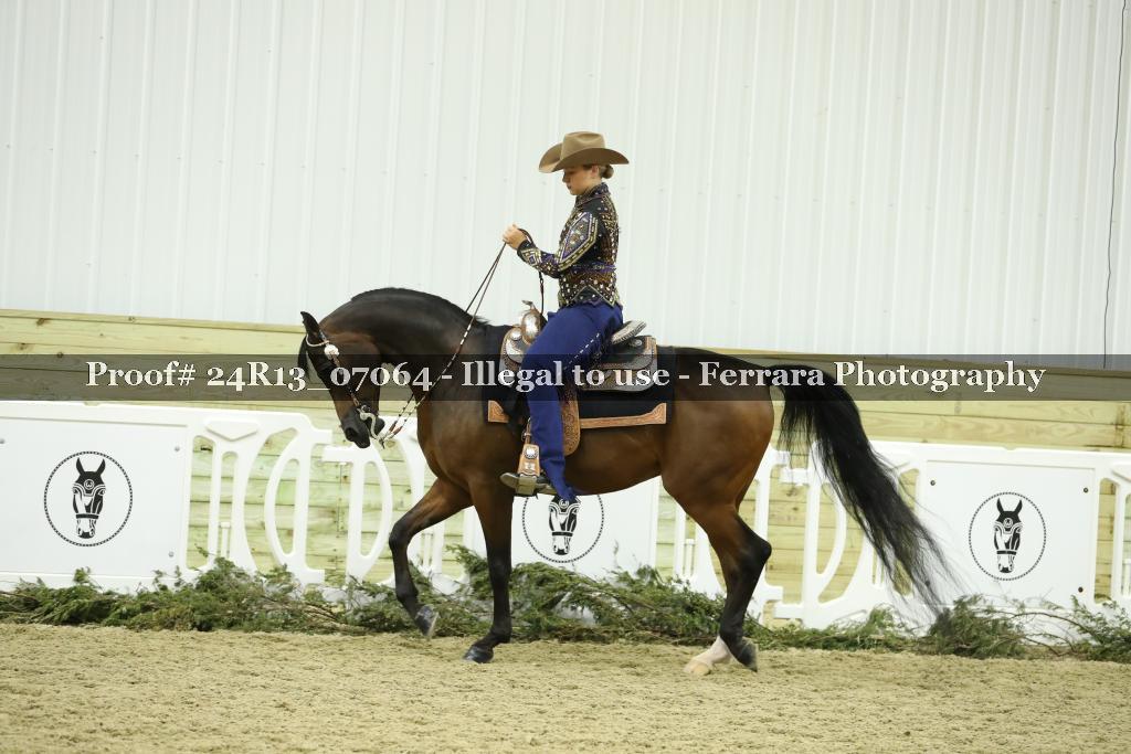 Proof 24R13_07064