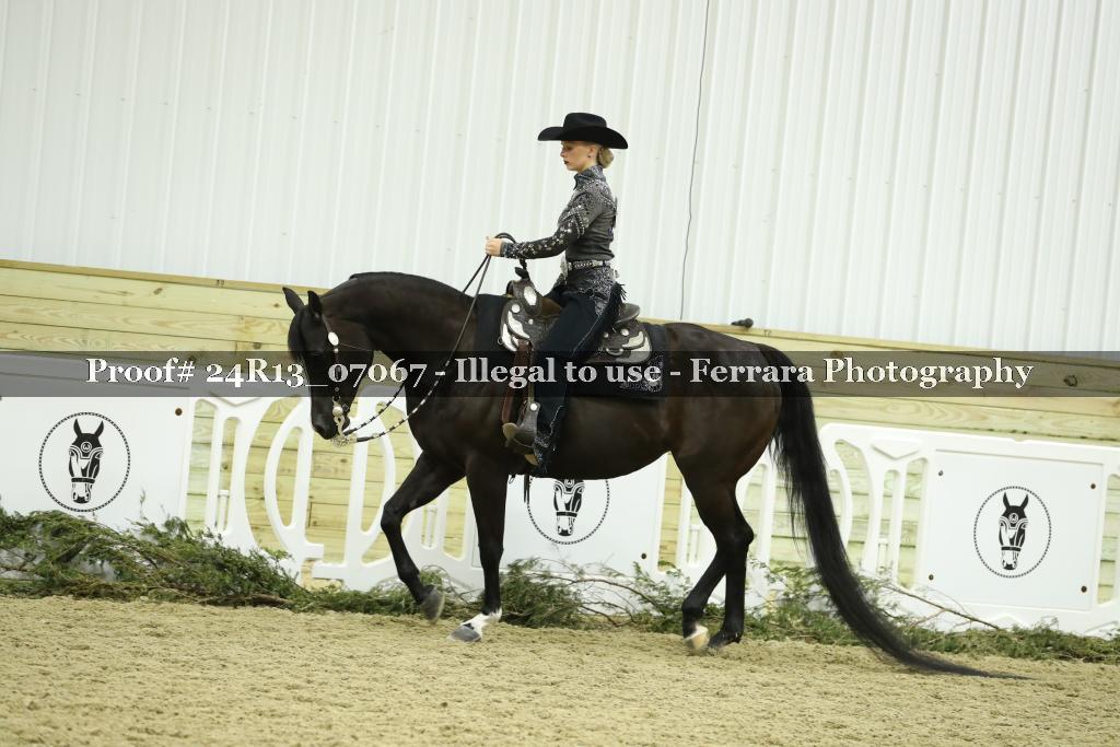 Proof 24R13_07067