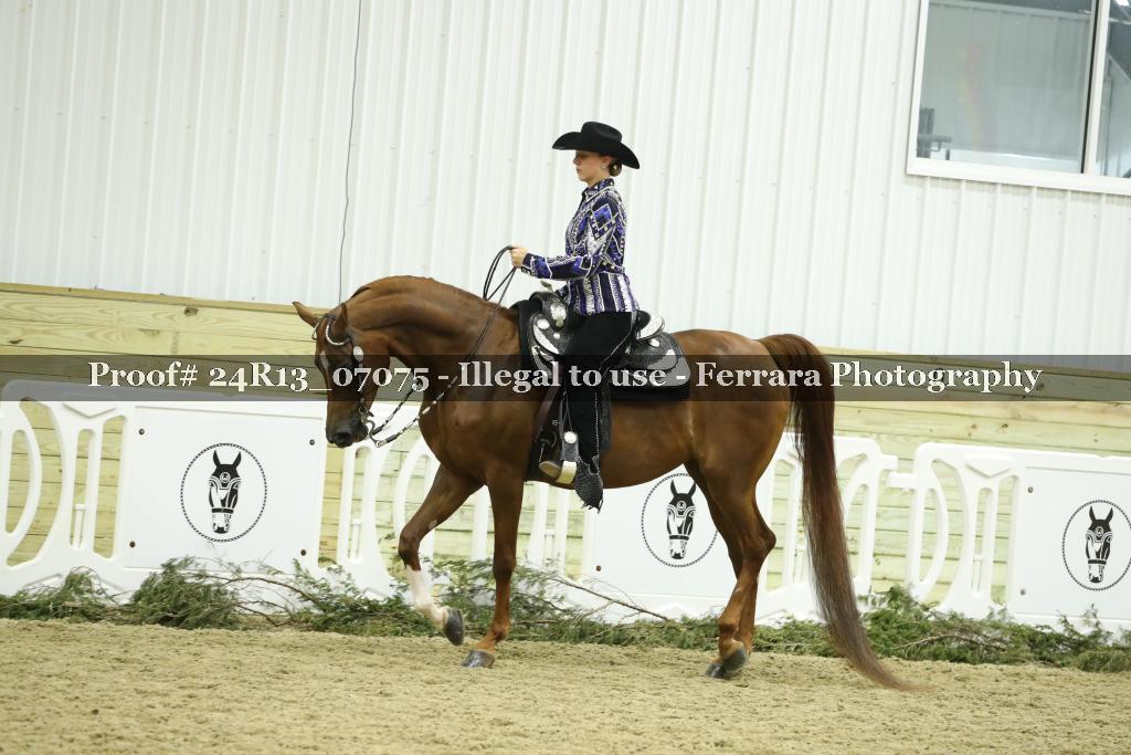 Proof 24R13_07075