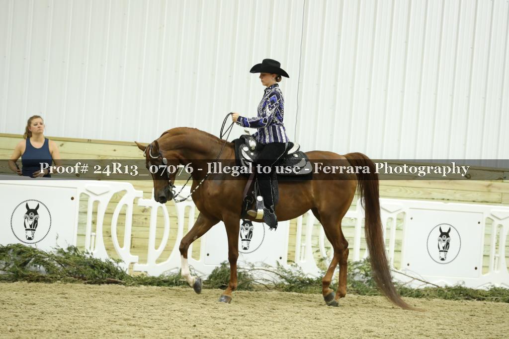 Proof 24R13_07076