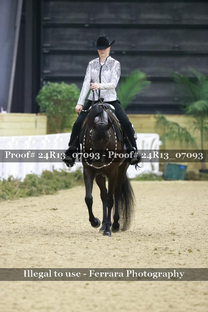 Proof 24R13_07093