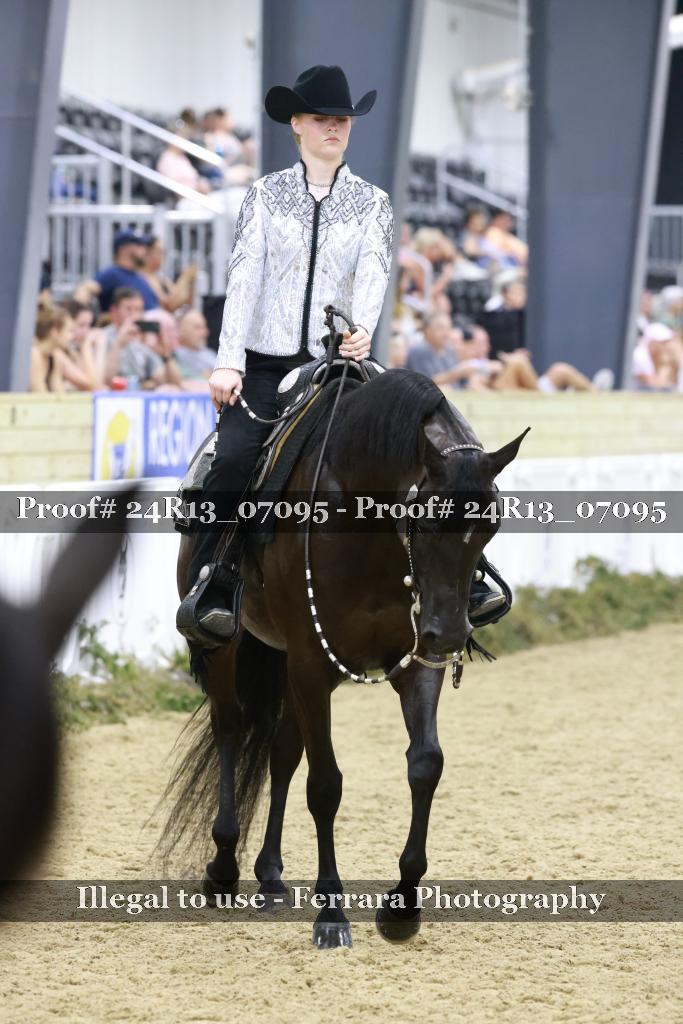 Proof 24R13_07095
