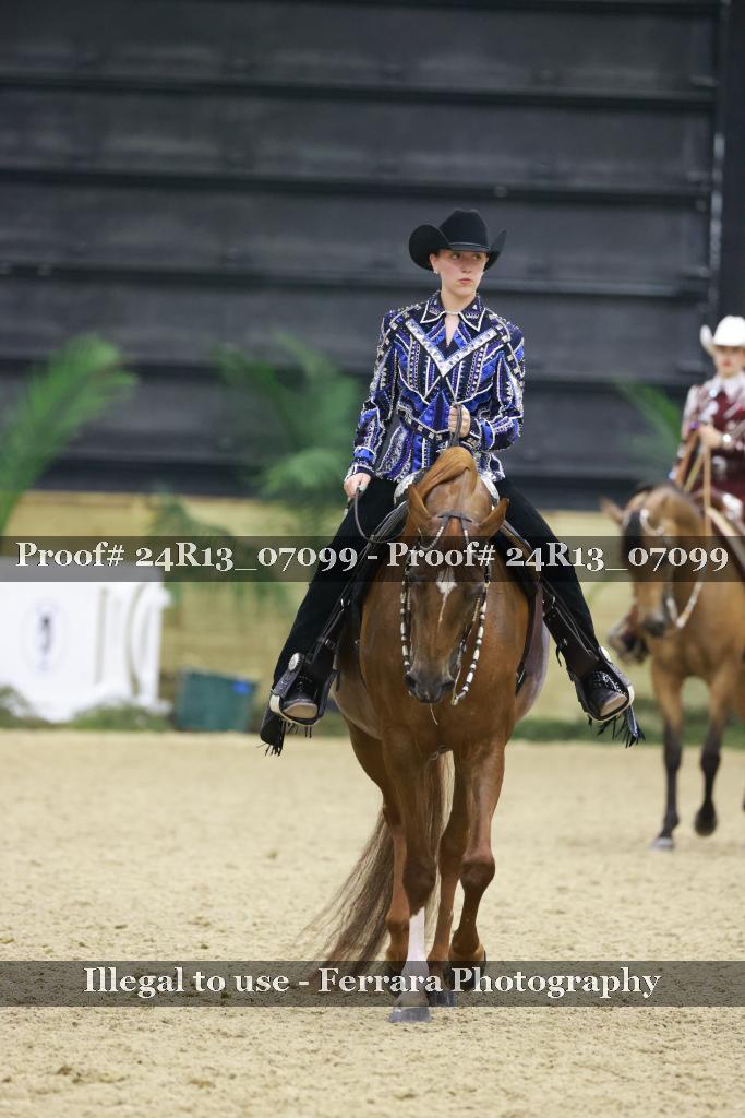 Proof 24R13_07099