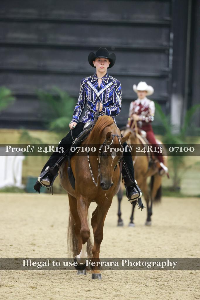Proof 24R13_07100