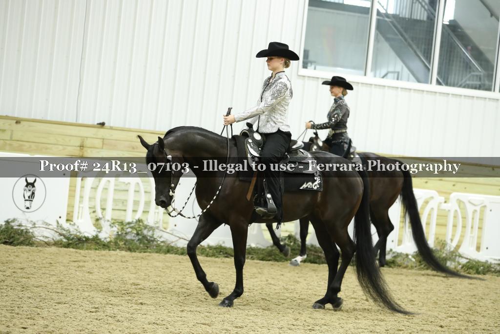 Proof 24R13_07103