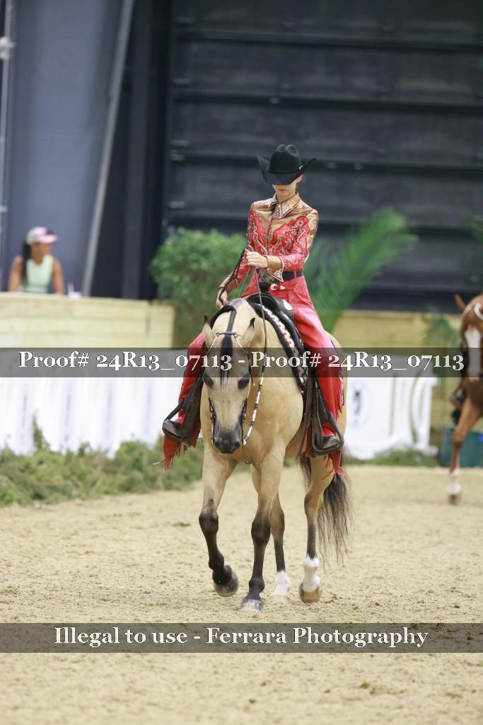 Proof 24R13_07113